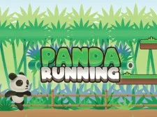 Panda Running